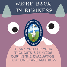 We're Back In Business Notice to Newsletter Subscribers After Hurricane Matthew Picture