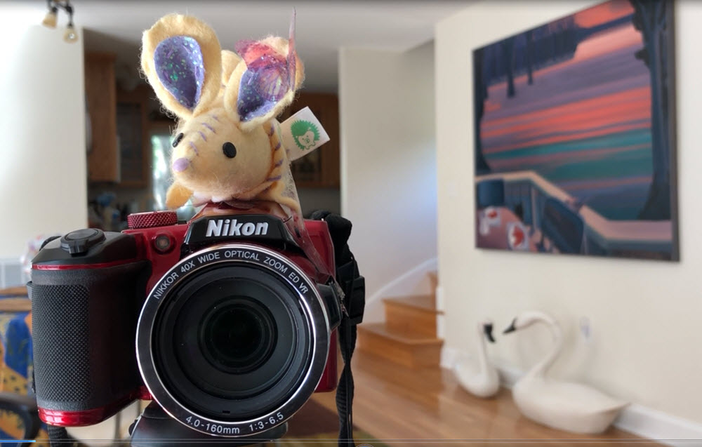 GlassEyesOnLine Nikon Camera with a needle felted mouse