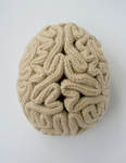 Crochet Brain Pattern  CandyPopCreations Etsy Shop