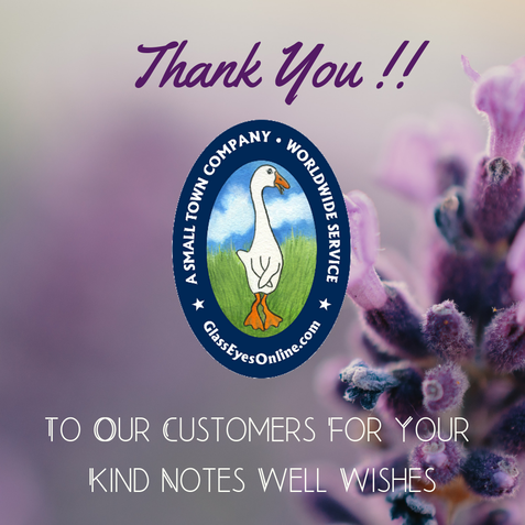 Thank You Note to Customers